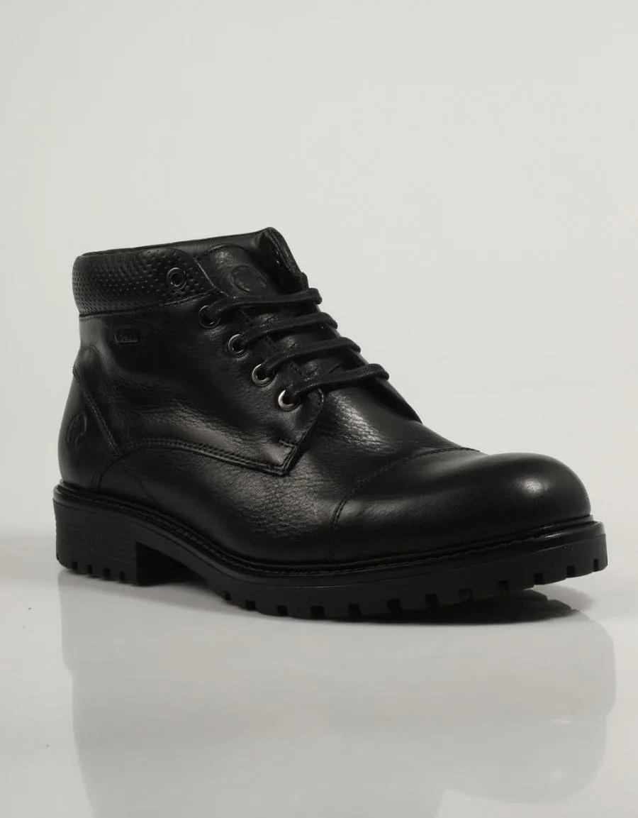  ankle boots CORONEL TAPIOCCA C2320 en Black 84086
