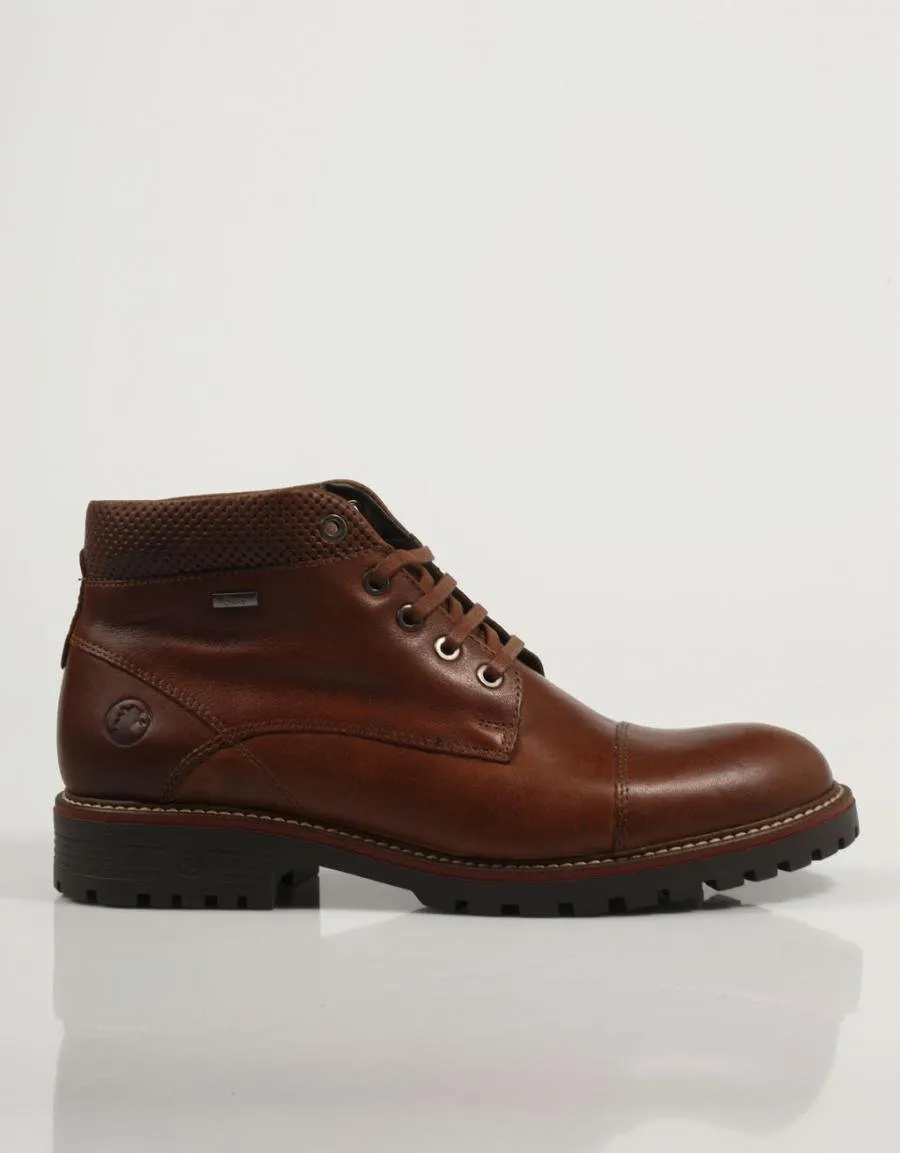  ankle boots CORONEL TAPIOCCA C2320 en Tan 84088