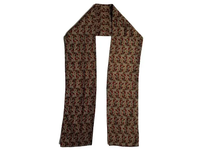 Autre Marque Bufandas de seda Multicolor 