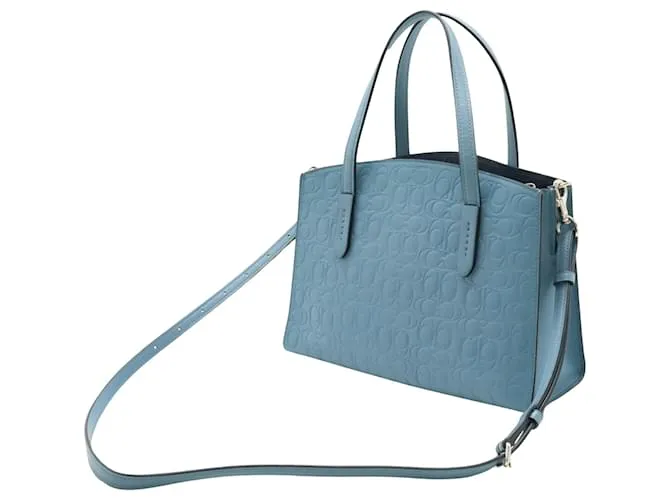 Coach entrenador caryall Azul 