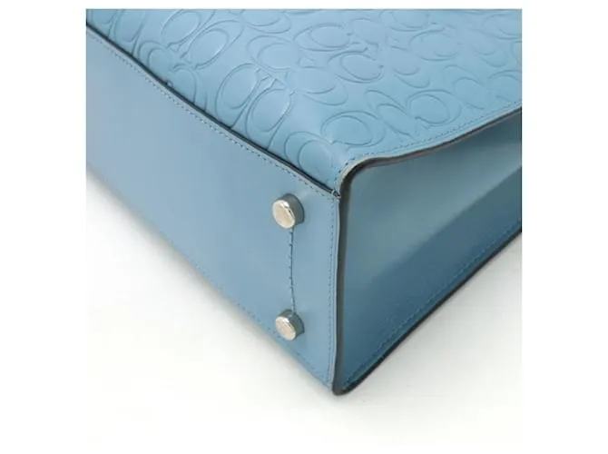 Coach entrenador caryall Azul 