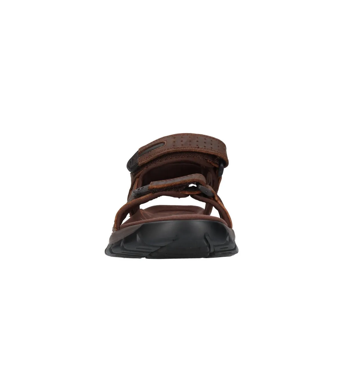 PAREDES VP24173 Hombre Marron