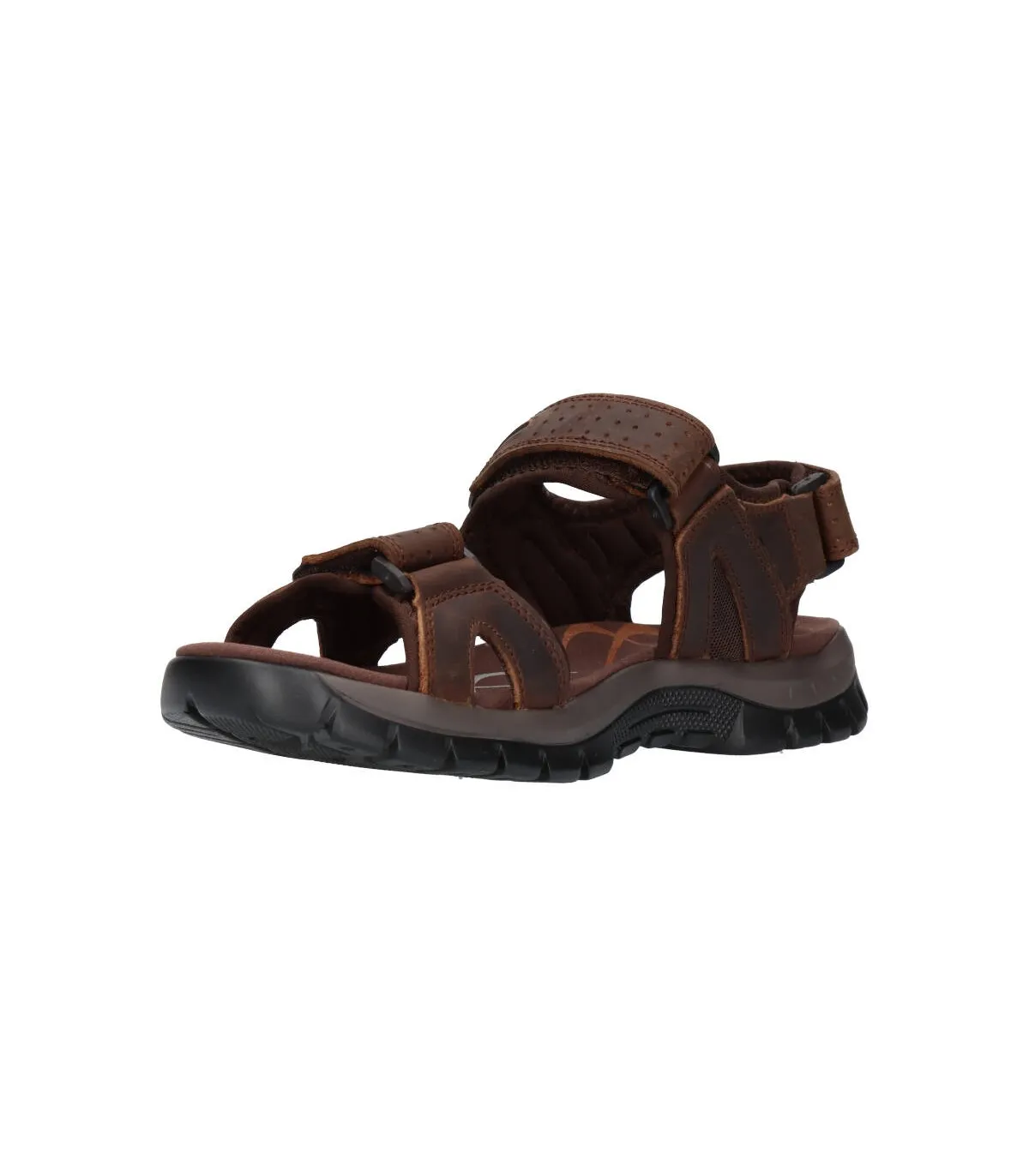 PAREDES VP24173 Hombre Marron