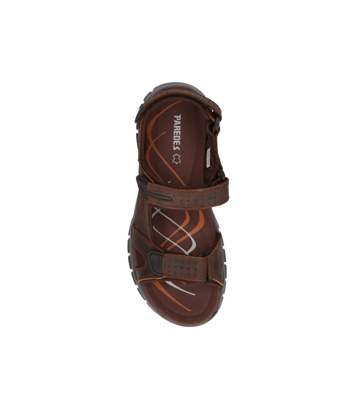PAREDES VP24173 Hombre Marron