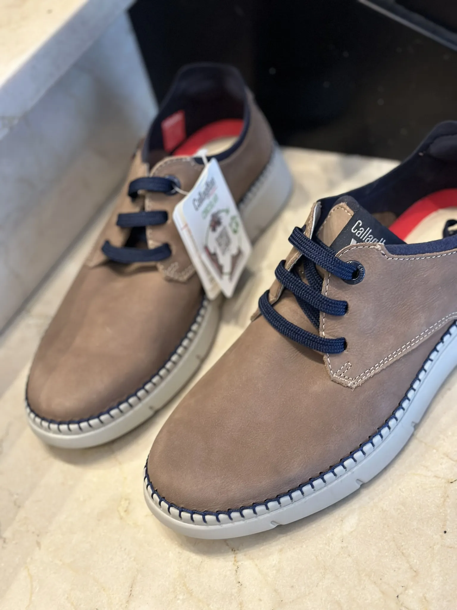 Zapato Callaghan Circular 53500