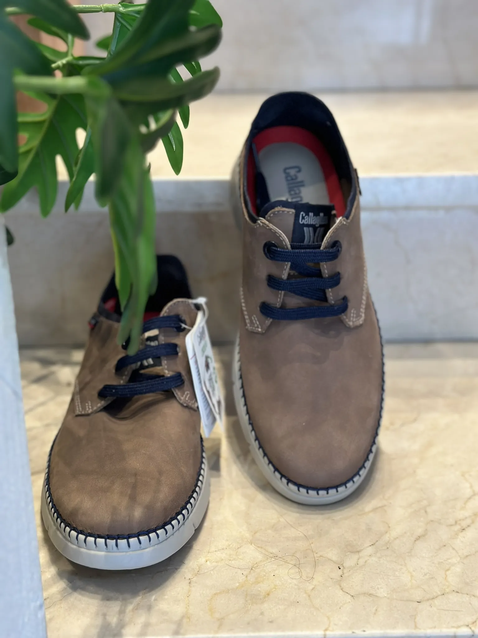 Zapato Callaghan Circular 53500